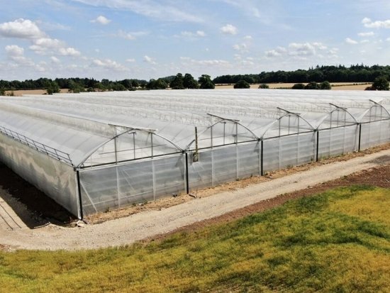 Sawtooth multi span greenhouse with irrigation system